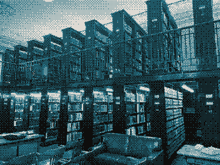 Shelves of bound law reports in a law library